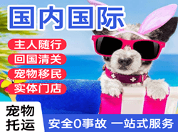 曹家堡机场空运国际宠物托运 【国